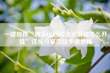 一键操作“微乐山西扣点点麻将怎么开挂	”详细分享装挂步骤教程