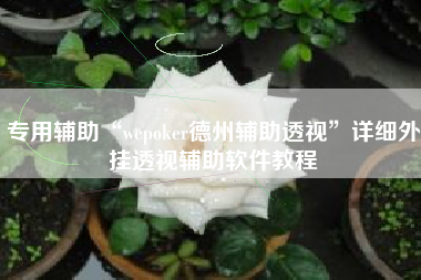 专用辅助“wepoker德州辅助透视	”详细外挂透视辅助软件教程