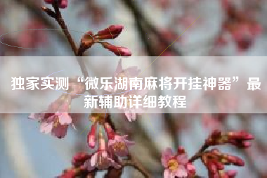 独家实测“微乐湖南麻将开挂神器”最新辅助详细教程