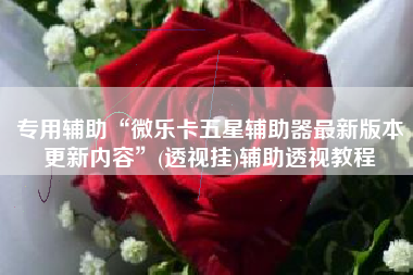 专用辅助“微乐卡五星辅助器最新版本更新内容”(透视挂)辅助透视教程