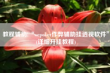 教程辅助!“wepoker作弊辅助挂透视软件”(详细开挂教程)