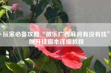 玩家必备攻略“微乐广西麻将有没有挂”附开挂脚本详细教程