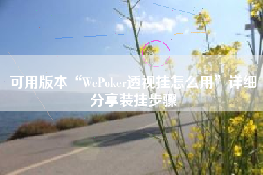 可用版本“WePoker透视挂怎么用”详细分享装挂步骤