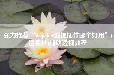 强力推荐“Wepoker透视插件哪个好用	”(透视挂)辅助透视教程