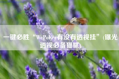 一键必胜“WePoKer有没有透视挂	”(曝光透视必备猫腻)