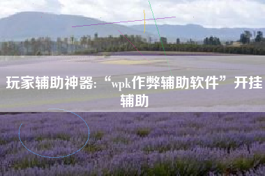 玩家辅助神器:“wpk作弊辅助软件”开挂辅助