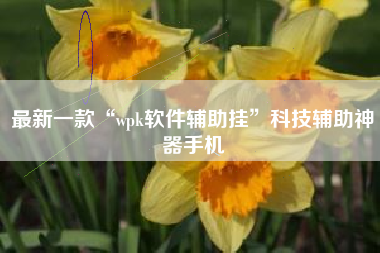 最新一款“wpk软件辅助挂”科技辅助神器手机