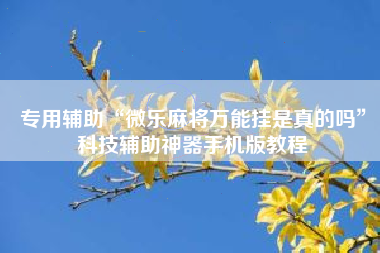 专用辅助“微乐麻将万能挂是真的吗”科技辅助神器手机版教程