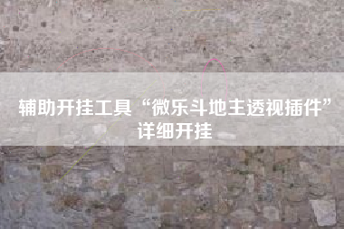 辅助开挂工具“微乐斗地主透视插件	”详细开挂