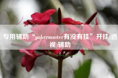 专用辅助“pokermaster有没有挂	”开挂(透视)辅助