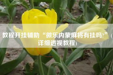 教程开挂辅助“微乐内蒙麻将有挂吗?”(详细透视教程)
