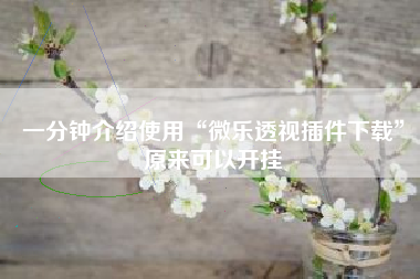 一分钟介绍使用“微乐透视插件下载”原来可以开挂