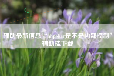 辅助最新信息“hhpoker是不是内部控制	”辅助挂下载
