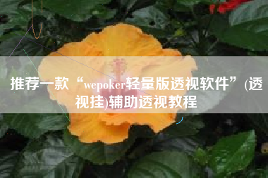 推荐一款“wepoker轻量版透视软件	”(透视挂)辅助透视教程