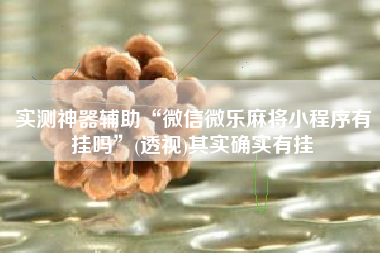 实测神器辅助“微信微乐麻将小程序有挂吗”(透视)其实确实有挂