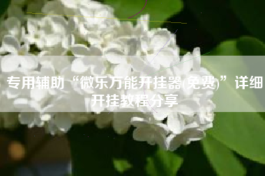 专用辅助“微乐万能开挂器(免费)”详细开挂教程分享