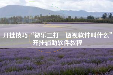 开挂技巧“微乐三打一透视软件叫什么	”开挂辅助软件教程