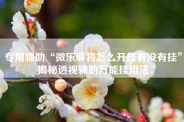 专用辅助“微乐麻将怎么开挂有没有挂	”揭秘透视辅助万能挂用法