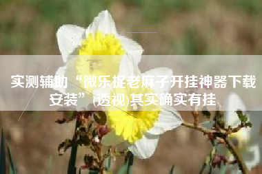 实测辅助“微乐捉老麻子开挂神器下载安装”(透视)其实确实有挂