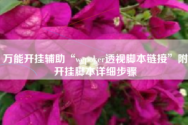 万能开挂辅助“wepoker透视脚本链接”附开挂脚本详细步骤