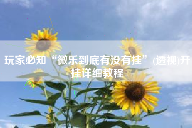 玩家必知“微乐到底有没有挂”(透视)开挂详细教程