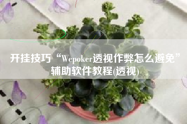 开挂技巧“Wepoker透视作弊怎么避免	”辅助软件教程(透视)