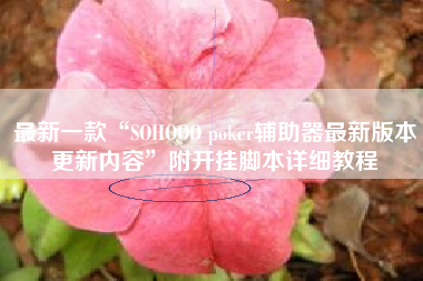 最新一款“SOHOOO poker辅助器最新版本更新内容”附开挂脚本详细教程