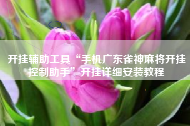 开挂辅助工具“手机广东雀神麻将开挂控制助手”开挂详细安装教程