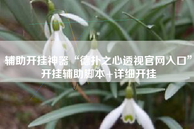 辅助开挂神器“德扑之心透视官网入口	”开挂辅助脚本+详细开挂