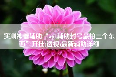 实测神器辅助“wpk辅助封号最怕三个东西”开挂(透视)最新辅助详细