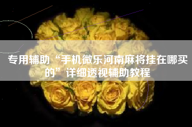 专用辅助“手机微乐河南麻将挂在哪买的”详细透视辅助教程