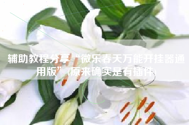 辅助教程分享“微乐春天万能开挂器通用版”(原来确实是有插件)