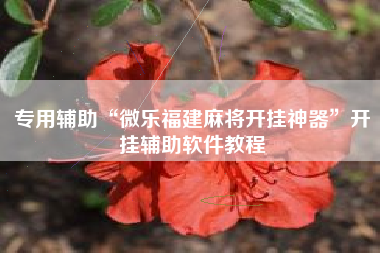 专用辅助“微乐福建麻将开挂神器	”开挂辅助软件教程