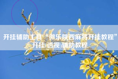 开挂辅助工具“微乐陕西麻将开挂教程”开挂(透视)辅助教程
