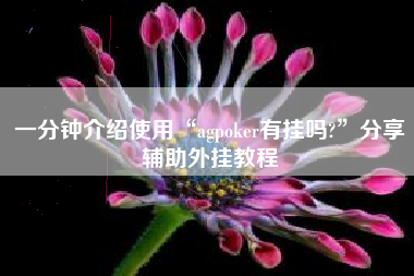 一分钟介绍使用“agpoker有挂吗?”分享辅助外挂教程