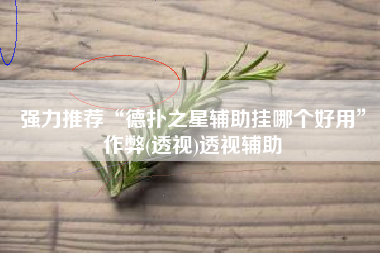 强力推荐“德扑之星辅助挂哪个好用”作弊(透视)透视辅助