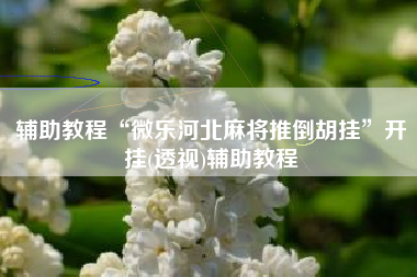 辅助教程“微乐河北麻将推倒胡挂	”开挂(透视)辅助教程