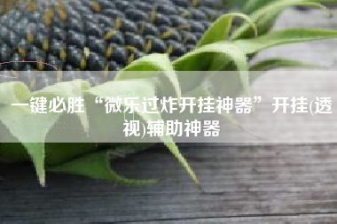 一键必胜“微乐过炸开挂神器”开挂(透视)辅助神器