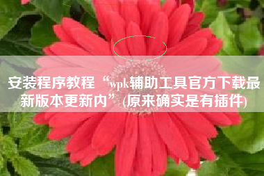 安装程序教程“wpk辅助工具官方下载最新版本更新内”(原来确实是有插件)
