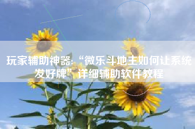 玩家辅助神器:“微乐斗地主如何让系统发好牌	”详细辅助软件教程