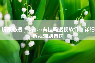玩家必搜“wepoker有挂吗透视软件”详细透视辅助方法