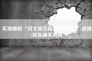 实测辅助“河北微乐麻将有挂吗?”(透视)其实确实有挂