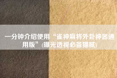 一分钟介绍使用“雀神麻将外卦神器通用版	”(曝光透视必备猫腻)