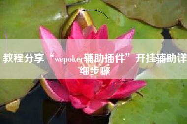 教程分享“wepoker辅助插件	”开挂辅助详细步骤