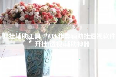 开挂辅助工具“WPK作弊辅助挂透视软件”开挂(透视)辅助神器