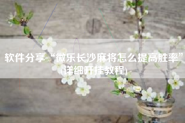 软件分享“微乐长沙麻将怎么提高胜率”(详细开挂教程)