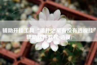 辅助开挂工具“德扑之星有没有透视挂”辅助软件教程(透视)