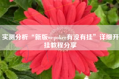 实测分析“新版wepoker有没有挂”详细开挂教程分享