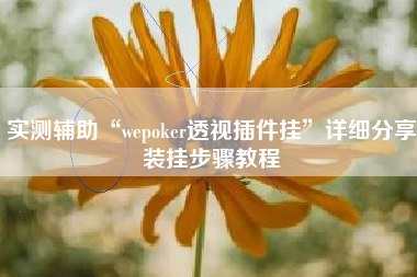 实测辅助“wepoker透视插件挂	”详细分享装挂步骤教程