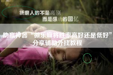 助赢神器“微乐麻将胜率高好还是低好”分享辅助外挂教程 助赢神器“微乐麻将胜率高好还是低好”分享辅助外挂教程